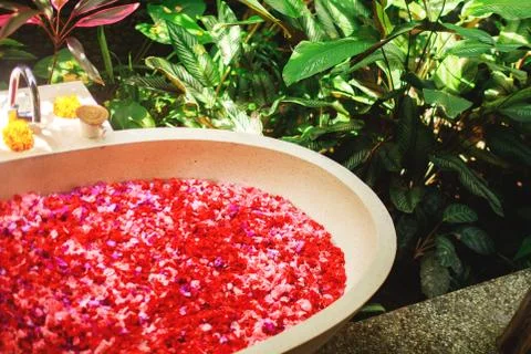 Bath with petals Stock Photos