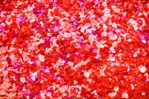 Bath with petals Stock Photos