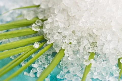 Bath salt and palm leaf Stock Photos