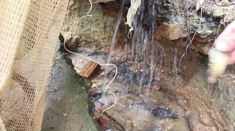 Bath for small fish Stock Footage 67319341