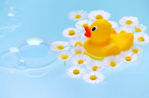 Bath with soap bubbles, a duck and chamomile flowers for baby or may be for Stock Photos