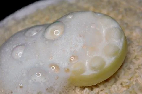 Bath soapy sponge on white background Stock Photos
