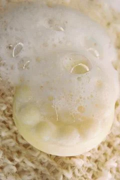 Bath soapy sponge on white background Stock Photos