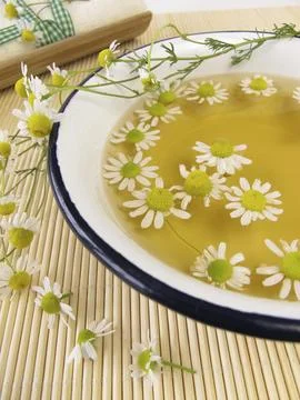 Bath tea with camomile blossoms Stock Photos