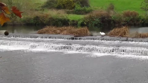 BATH UK,  WIER 動画素材 47251254