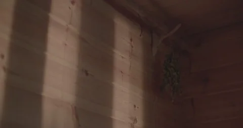 Bath whisk in the sauna Video stock 72934250