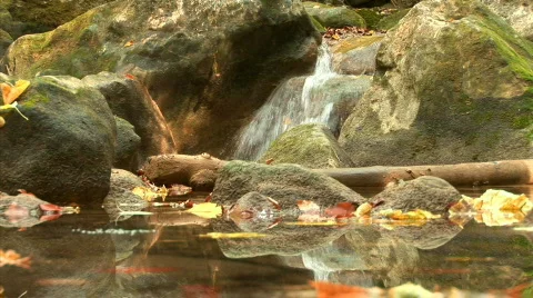 Bath youth in Crimea Stock Footage 525547