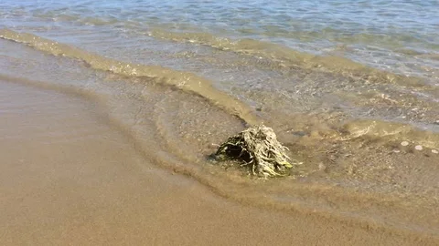 Bathed by the sea Stockbeeldmateriaal 100971861