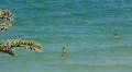 Bathers HD Footage