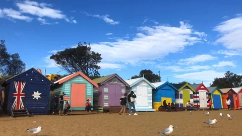 Bathing Boxes Brighton Beach, Melbourne Stock Footage 113398951