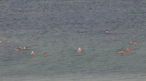 Bathing in the Dead sea 13 Stock Footage 22819821