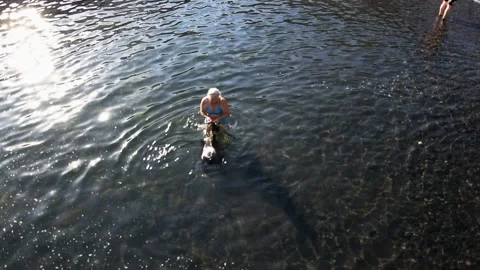 Bathing the goats in Puerto de la Cruz, Tenerife. Saint John day tradition. 9 Vídeo Stock 199109022