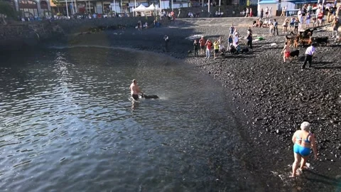 Bathing the goats in Puerto de la Cruz, Tenerife. Saint John day tradition. 14 Stock Footage 199109570