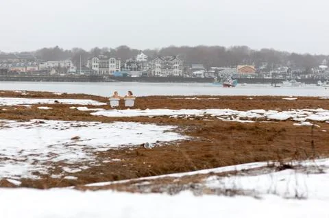 Bathing on the marsh Stock Photos