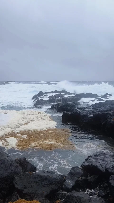 Bathing in natural volcanic thermal pool Stock Footage 269528211