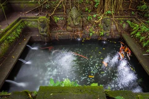 Bathing Pool in the The Holy Spring Temple,  Sacred Monkey Forest Sanctuary, Foto stock