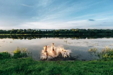 Bathing in the river Stock Photos