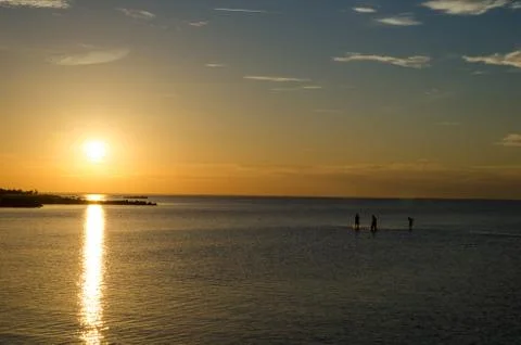 Bathing at sunset Stock Photos