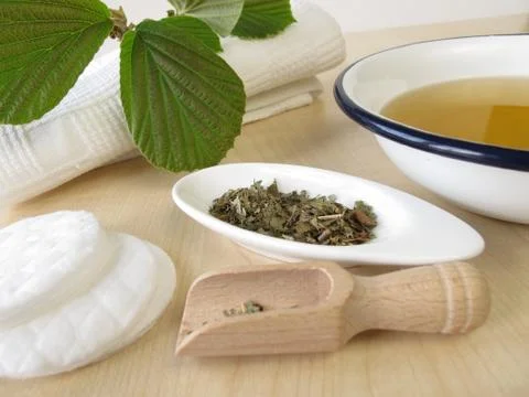 Bathing tea witch hamamelis Stock Photos