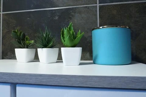 Bathroom decor elements. A blue jar of cream or oil, green artificial plant.. Stock Photos
