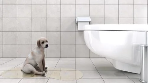Bathroom with dog Stock Illustration