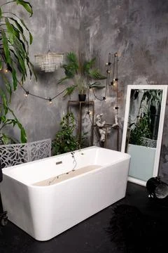 Bathroom with greenery and a mirror Stock Photos