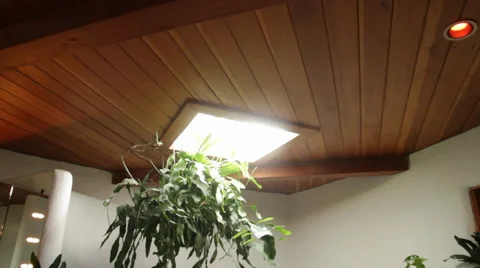 Bathroom Greenery Stock Footage 40813959