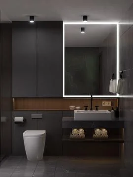 Bathroom Illustration Design Stock Illustration