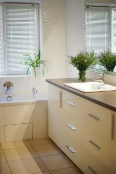 Bathroom interior with flowers Foto stock