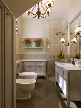 Bathroom modern style Stock Illustration