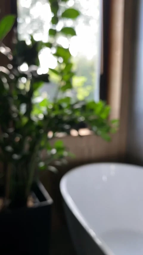 Bathroom with natural light Stock Footage 342335457