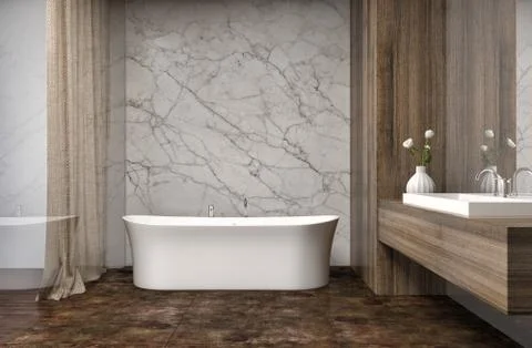 Bathroom with shower and bath. 3d illustration Stock Illustration