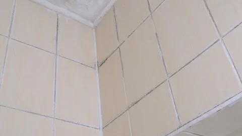 The bathroom siennas are covered with mold from moisture and poor ventilation Stock Footage 312562018