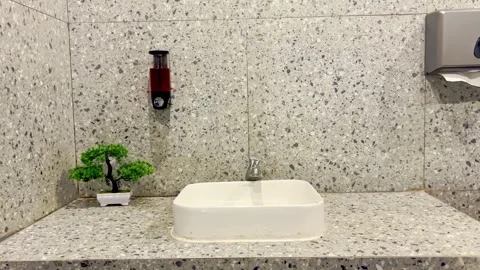 Bathroom sink with soap dispenser and plant Stock-Footage 335430583