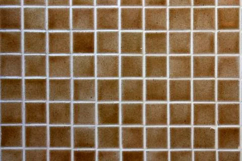Bathroom wall tiles. Stock Photos