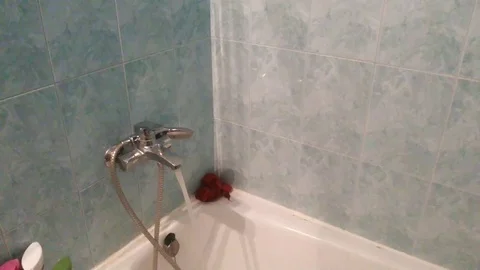Bathroom waterfall from crane Stock Footage 97602582