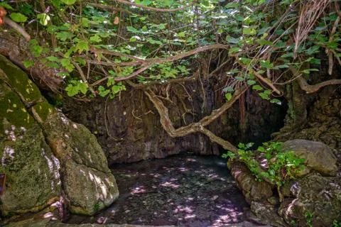 Baths of Aphrodite on Cyprus Stock Photos
