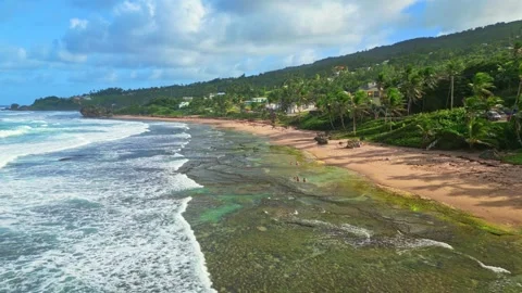 Bathsheba Barbados Drone | Waves Crashing Against The Shore Stock Footage 251753739
