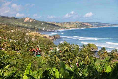 Bathsheba beach, barbados Stock Photos