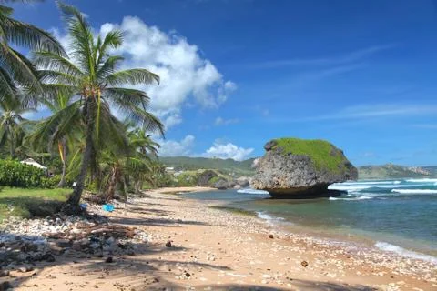 Bathsheba beach, barbados Stock Photos
