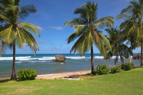 Bathsheba beach, barbados Stock Photos