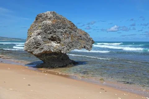 Bathsheba beach Stock Photos