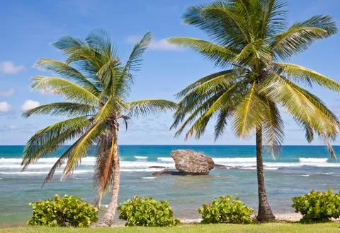 Bathsheba Stock Photos