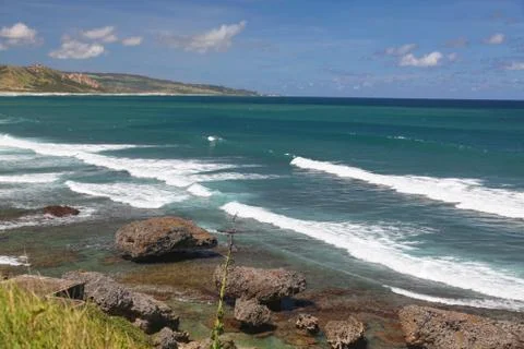 Bathsheba shoreline Stock Photos