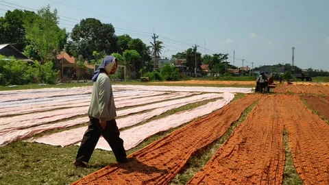 Batik workers when drying batik cloth that 스톡 동영상 112765757