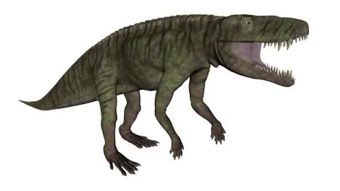 Batrachotomus dinosaur roaring -3D render Stock Illustration