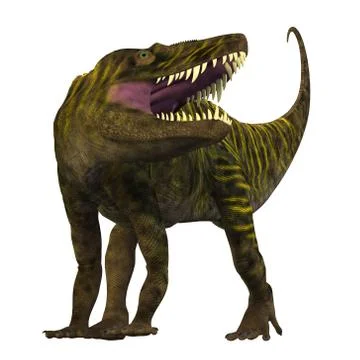 Batrachotomus on White Stock Illustration