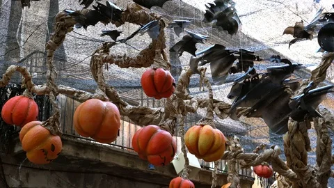 Bats and pumpkin lanterns made from recycled plastic on halloween celebration. Vídeos de archivo 114315480