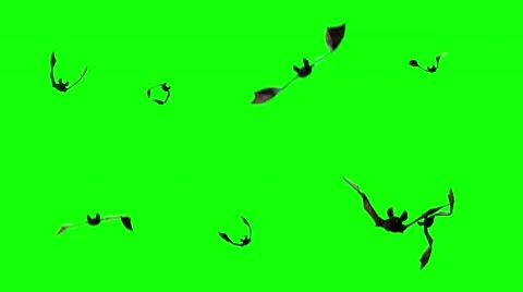 Bats are flying on a green background of Halloween  render 3D Video stock 68585073