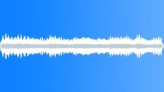 Bats Australian Flying Fox in CairnsSound Effect